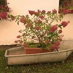 Country Estate ファームステイ