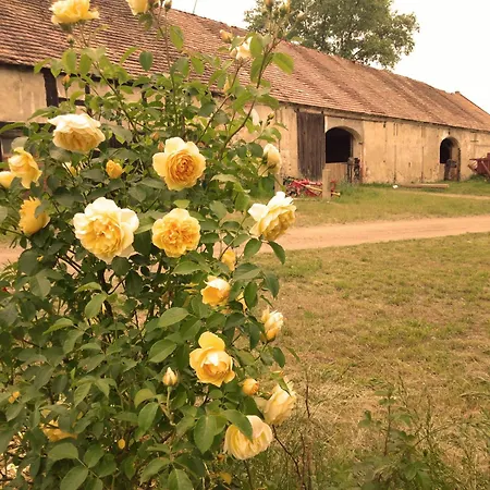 Country Estate * Studniska