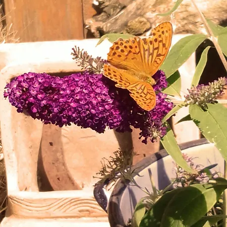 Agroturismo Country Estate Studniska