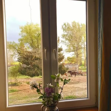 팜스테이 Country Estate Studniska