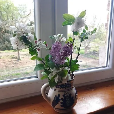 Country Estate * Studniska