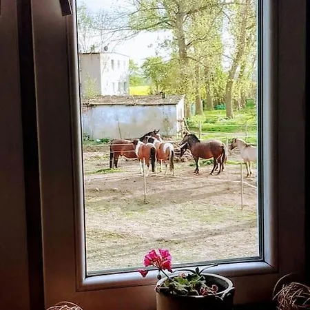 Country Estate Agroturismo Studniska