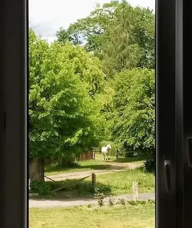 Country Estate *