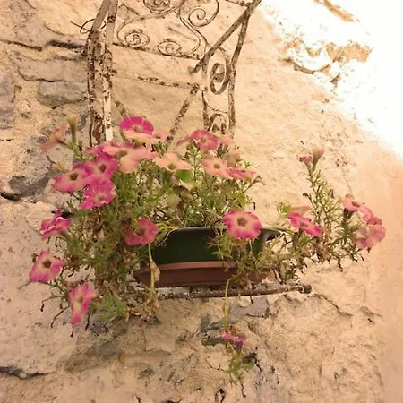 Country Estate *