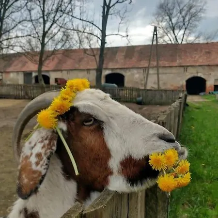 Country Estate Agroturismo *