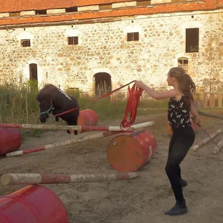 Country Estate Κατάλυμα σε φάρμα *