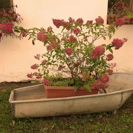 Country Estate בית חווה