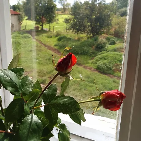 Farm stay Country Estate Studniska