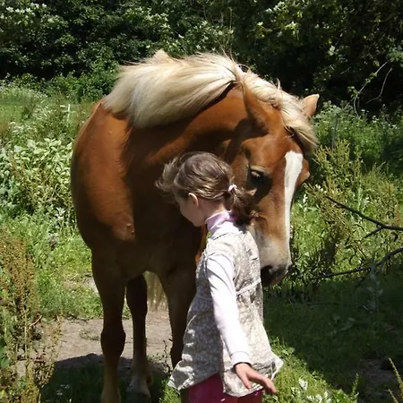 Country Estate * Studniska