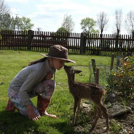 Country Estate Studniska