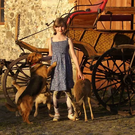 Farm stay Country Estate Studniska