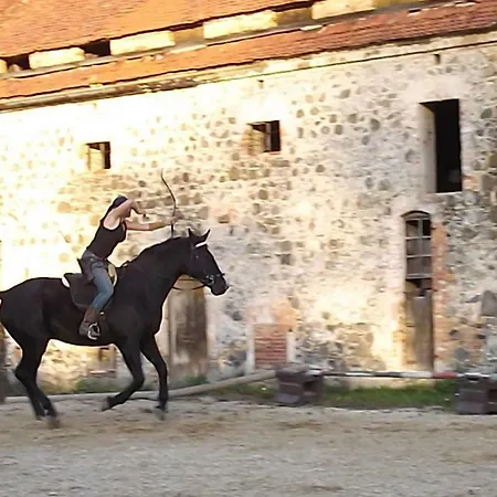 Country Estate * Studniska