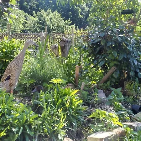 Country Estate * Studniska