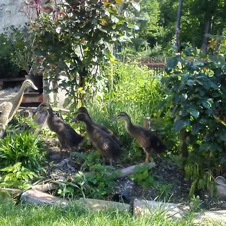 Country Estate Agroturismo