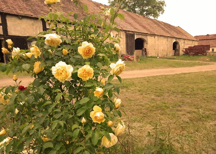 Country Estate * Studniska