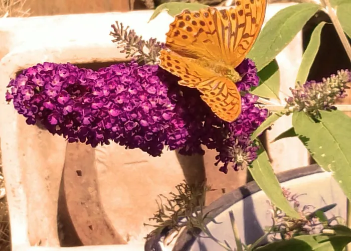 Bauernhof Country Estate Studniska