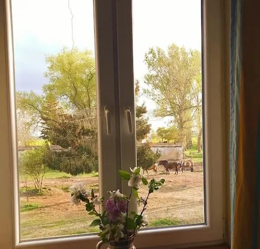 Bauernhof Country Estate Studniska