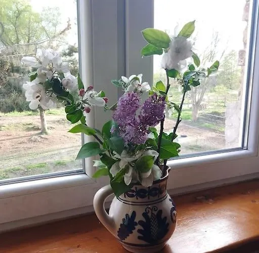 Country Estate * Studniska