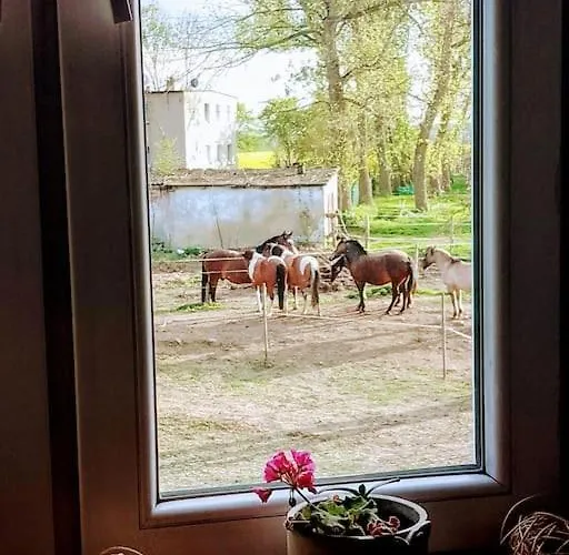 Country Estate Bauernhof Studniska