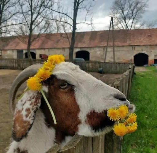 Country Estate Bauernhof *