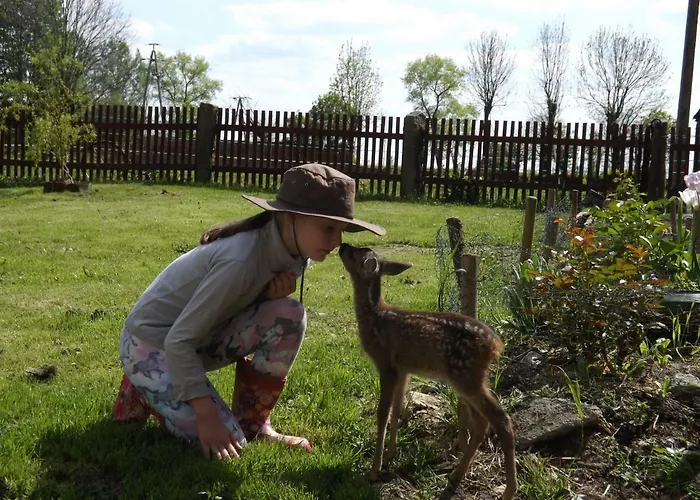 Country Estate Studniska