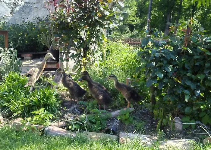 Country Estate Bauernhof