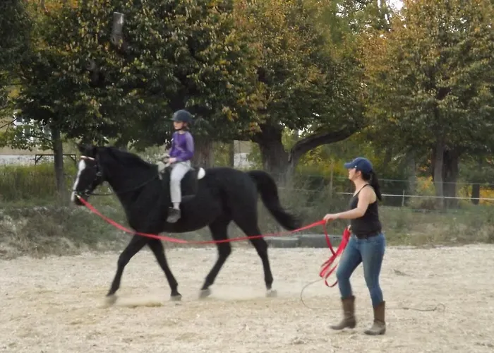 Country Estate Bauernhof Studniska